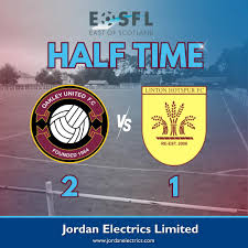 Image result for Ockley Acorns Junior F C