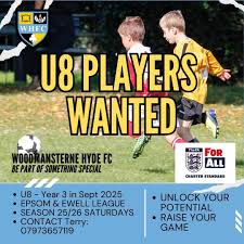 Image result for Woodmansterne Sports Fc