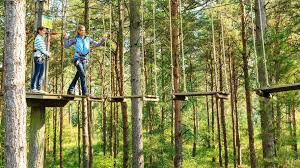 Image result for Go Ape! Grizedale