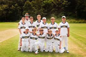 Image result for Waverley Cricket Club