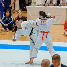 Image result for Nottingham Sankukai Karate