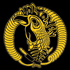 Kuvahaun tulos haulle haloilmi