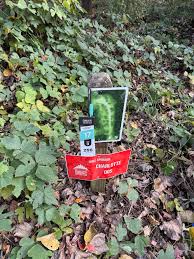 Image result for Calstock Smbc