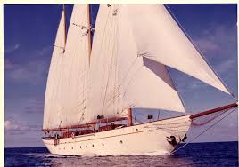 Image result for Xarifa