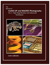 Attēlu rezultāti vaicājumam “Licea minima macro”