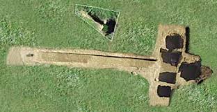 Image result for selvatici tehron