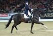 Trakehner - Wikipedia, the free encyclopedia