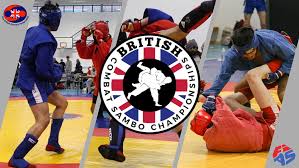 Image result for Combat Sambo