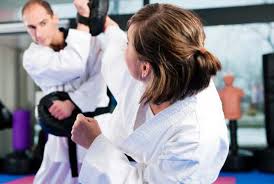 Image result for Devines Martial Arts
