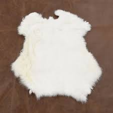 Image result for white rabbit skin texture
