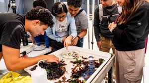 Image result for Exploratorium%20bubble