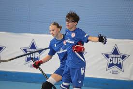 Image result for Norwich City Roller Hockey Club