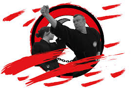 Image result for British Jujitsu Ryu