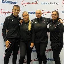 Image result for Harlequin Gymnastics Club