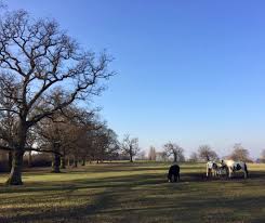 Image result for Watford and District Rifle Club