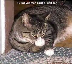 Accueil