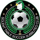 Image result for maiden Erlegh Subbuteo Club