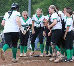 Image result for Dragons Softball Club