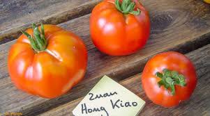 Afbeeldingsresultaat voor earl faux tomato