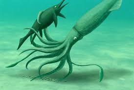 Attēlu rezultāti vaicājumam “Endoceras”