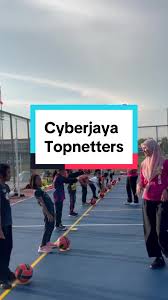 Image result for Minchenden Netball Club