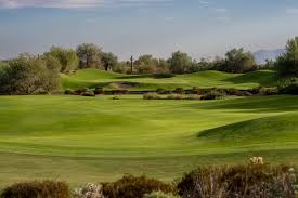 Image result for Blackstones Bowls Club