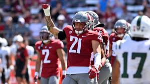 Image result for Ut Cougars