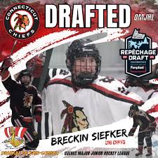 Image result for Streatham Chiefs Ice Hockey Club