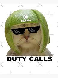 Image result for limecat