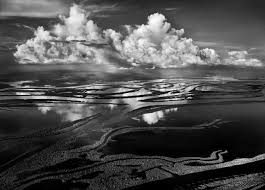 Image result for sebastiao salgado