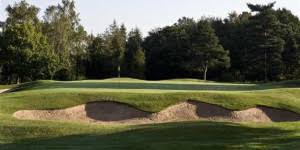 Image result for Hazel Grove Cc