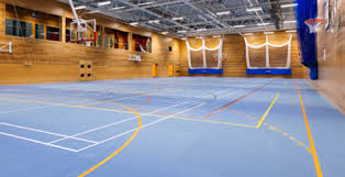 Image result for Addison Exiles Badminton Club