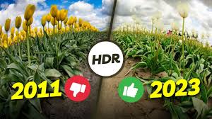 Image result for bad hdr