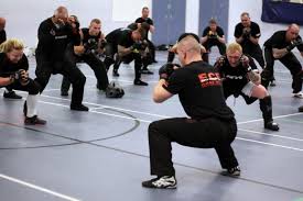 Image result for Krav Maga Midlands UK
