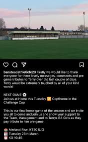 Image result for Beecholme Belles Banstead FC