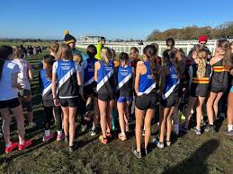 Image result for Kingston Upon Hull Athletics Club