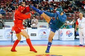 Image result for Combat Sambo
