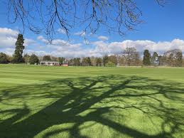 Image result for Dunstall Cricket Club