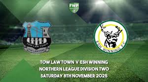 Image result for Tow Law F C