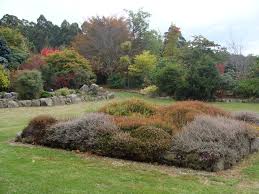 Image result for Woodbank Cc