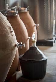 Image result for geografs sense fronteres