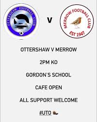 Image result for Ottershaw Girls Fc