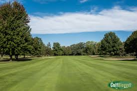 Image result for Flint Golf Club
