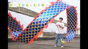 Image result for HAINAULT & CHIGWELL CHANGQUAN FLYING DRAGON