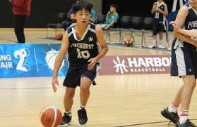 Image result for Pinehurst Netball Club