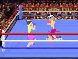 Image result for 4D Sports Boxing