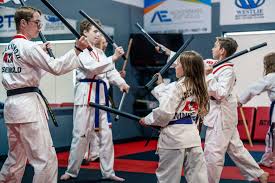 Image result for Ndm Martial Arts