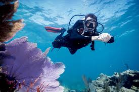 Image result for Scuba Fun