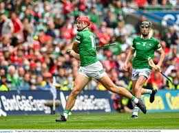 Image result for University Of Limerick Gaa Hurling Club
