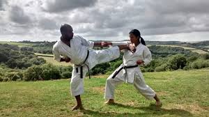 Image result for Nottingham Sankukai Karate